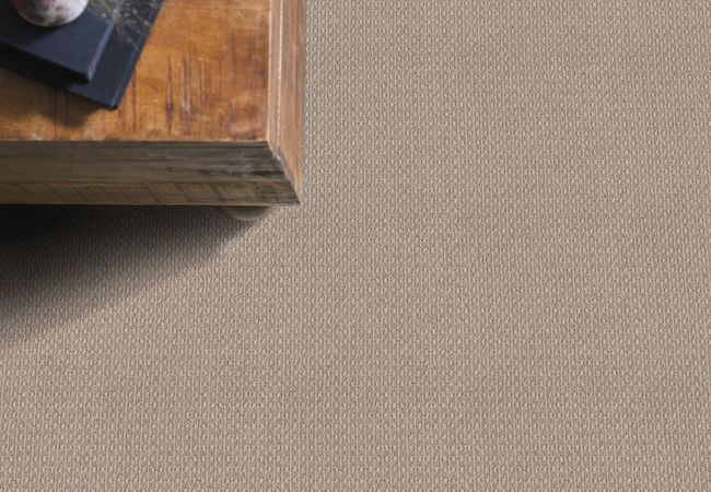Anderson Tuftex Carpet Moondance Canvas view 2