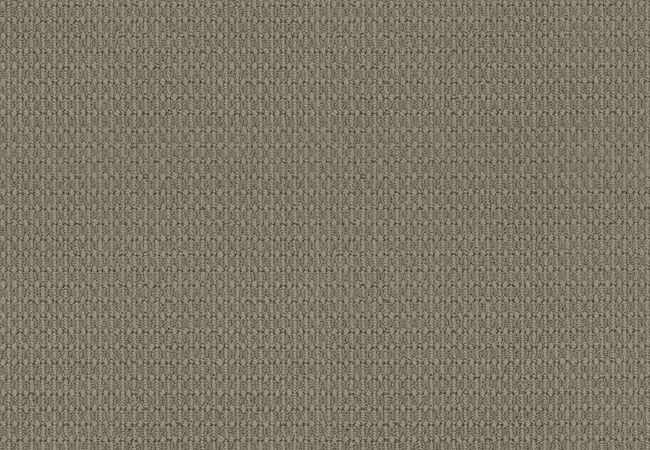 Anderson Tuftex Carpet Moondance Chatroom