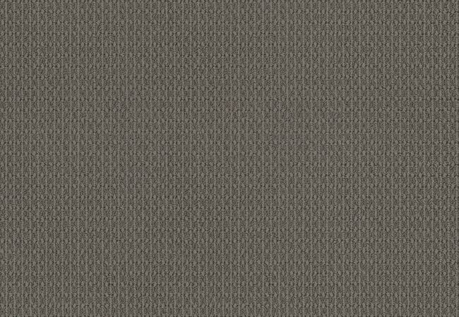 Anderson Tuftex Carpet Moondance City Scape