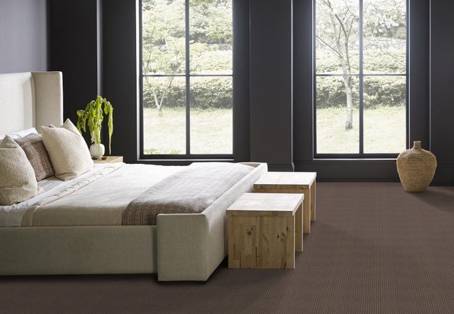 Anderson Tuftex Carpet Moondance Darkroom view 3