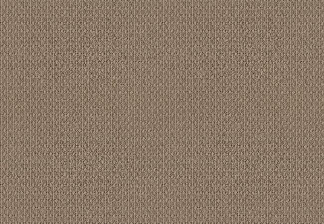 Anderson Tuftex Carpet Moondance Desert Suede