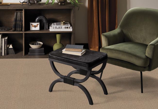 Anderson Tuftex Carpet Moondance Desert Suede view 2