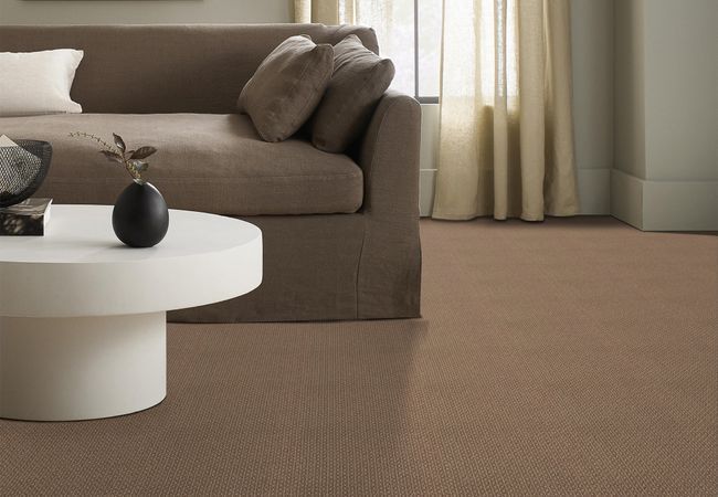 Anderson Tuftex Carpet Moondance Egyptian Sand view 2