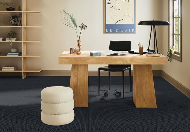 Anderson Tuftex Carpet Moondance Empress view 2