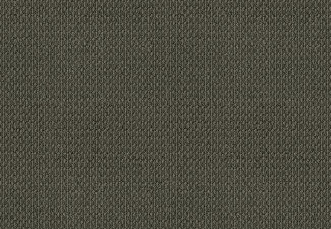 Anderson Tuftex Carpet Moondance Garden Gate