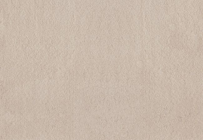 Anderson Tuftex Carpet Moondance Neutral Ground