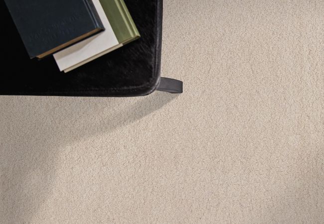 Anderson Tuftex Carpet Moondance Neutral Ground view 2