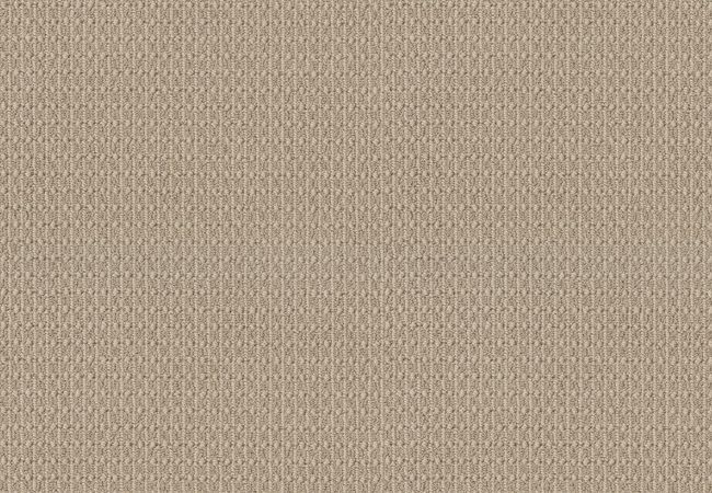 Anderson Tuftex Carpet Moondance Pale Beach