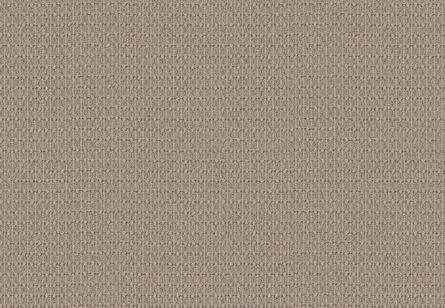 Anderson Tuftex Carpet Moondance Pearl