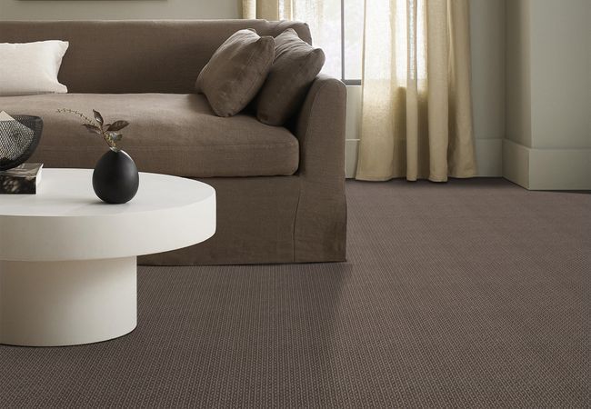 Anderson Tuftex Carpet Moondance Pebble view 2