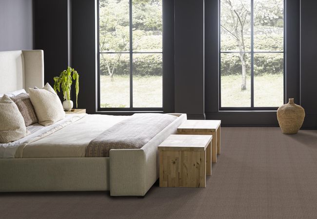 Anderson Tuftex Carpet Moondance Pebble view 3