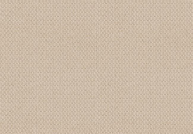 Anderson Tuftex Carpet Moondance Restful