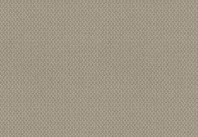 Anderson Tuftex Carpet Moondance Sedate
