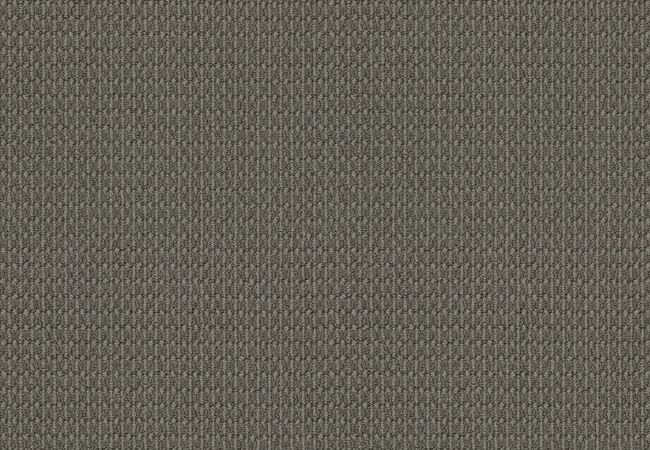 Anderson Tuftex Carpet Moondance Silhouette