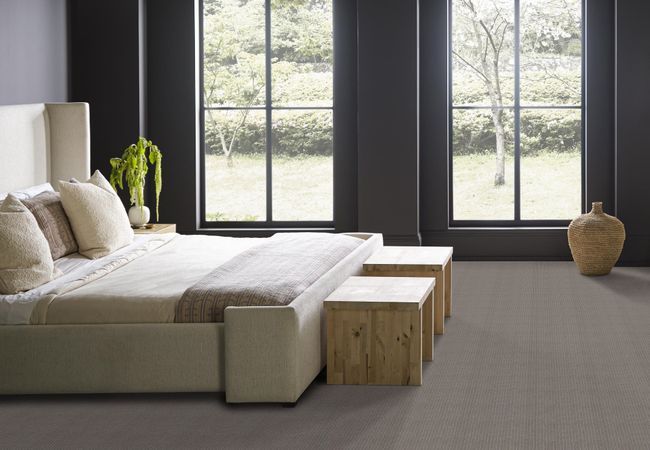 Anderson Tuftex Carpet Moondance Silhouette view 3