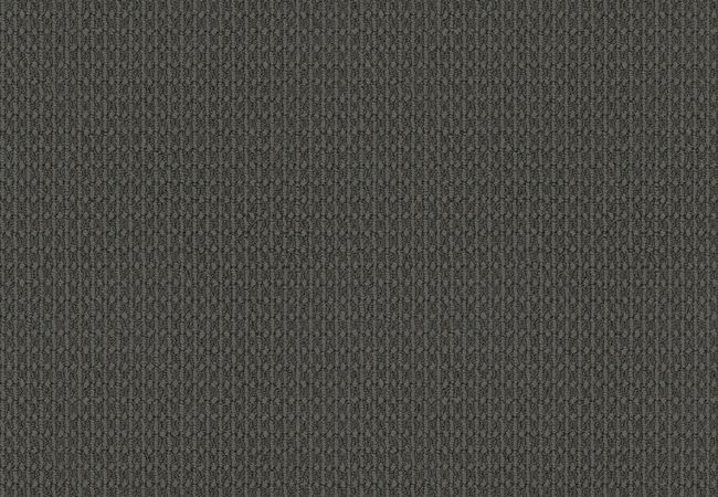 Anderson Tuftex Carpet Moondance Skyline