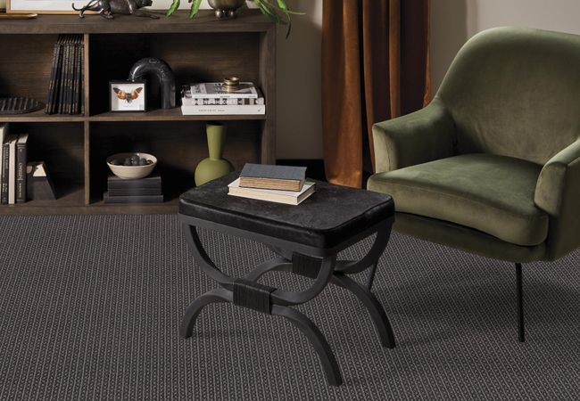 Anderson Tuftex Carpet Moondance Skyline view 2