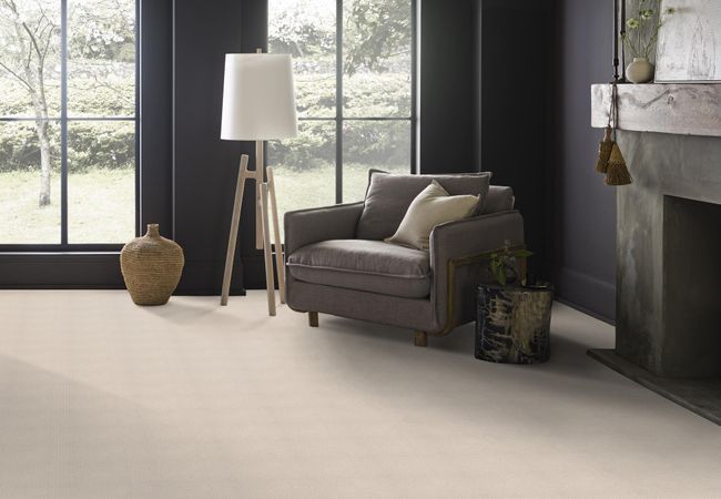 Anderson Tuftex Carpet Moondance Soft Ivory view 2