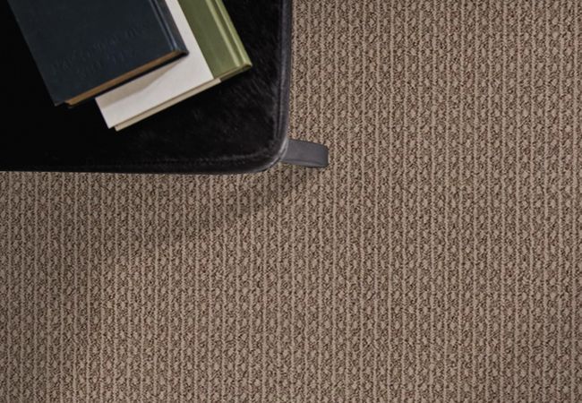 Anderson Tuftex Carpet Moondance Timber Wolf view 2