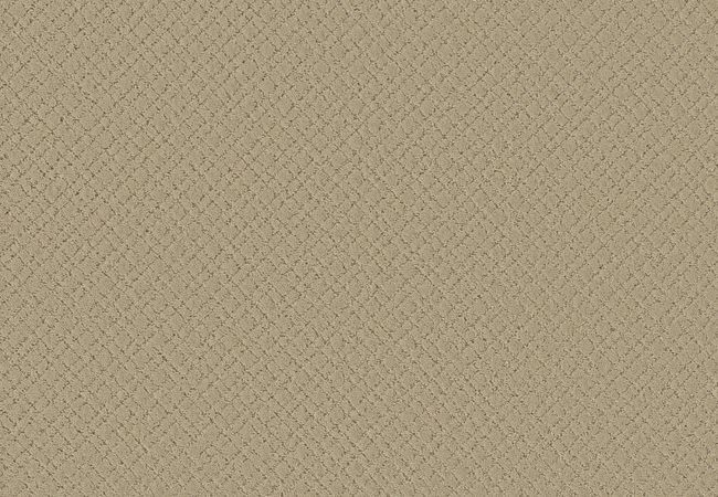 Anderson Tuftex Carpet Mosaic Bungalow