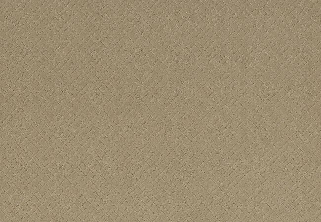 Anderson Tuftex Carpet Mosaic Coronado