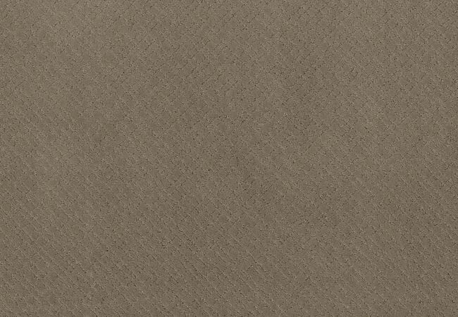 Anderson Tuftex Carpet Mosaic Rockport