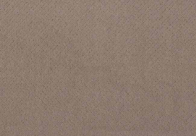 Anderson Tuftex Carpet Mosaic Socialite