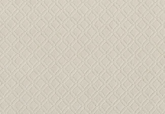 Anderson Tuftex Carpet Muse Aria