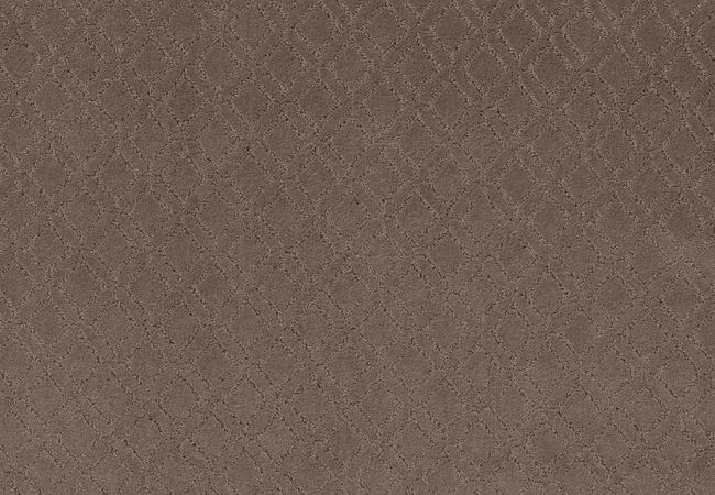 Anderson Tuftex Carpet Muse Chantrelle