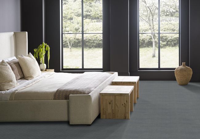 Anderson Tuftex Carpet Muse Comet view 3