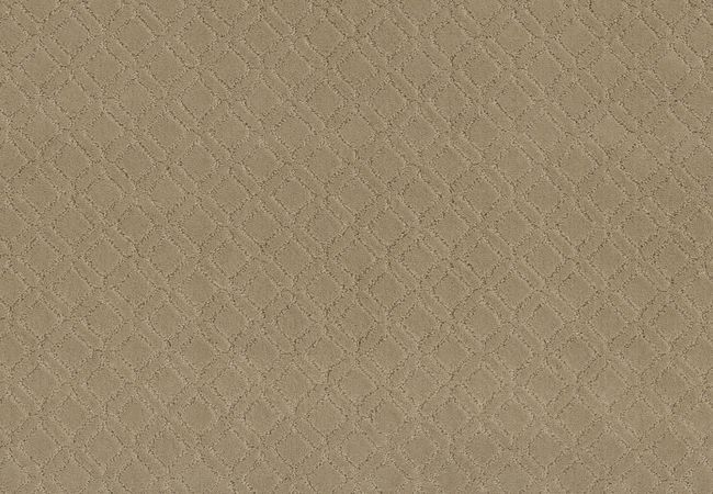 Anderson Tuftex Carpet Muse Coronado