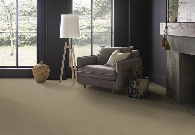 Anderson Tuftex Carpet Muse Coronado view 2