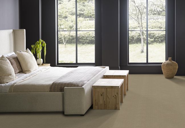Anderson Tuftex Carpet Muse Coronado view 3