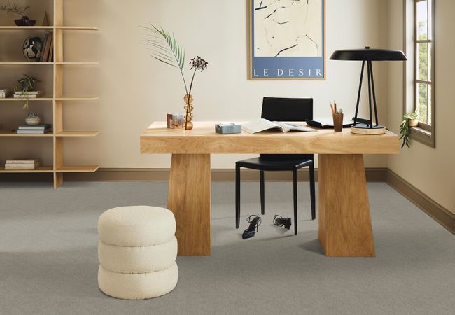 Anderson Tuftex Carpet Muse Cumulus view 2