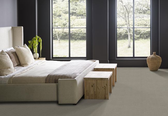 Anderson Tuftex Carpet Muse Cumulus view 3