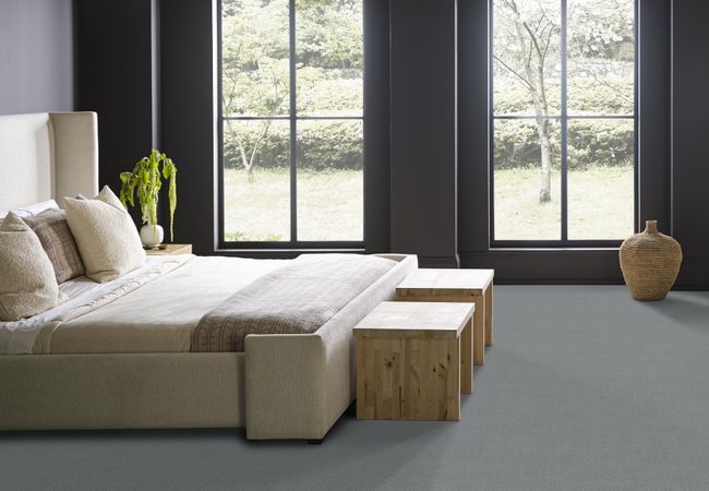 Anderson Tuftex Carpet Muse Edgewater view 3