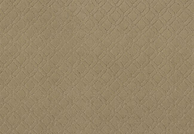 Anderson Tuftex Carpet Muse Folklore