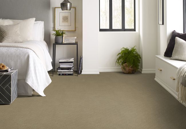 Anderson Tuftex Carpet Muse Folklore view 2