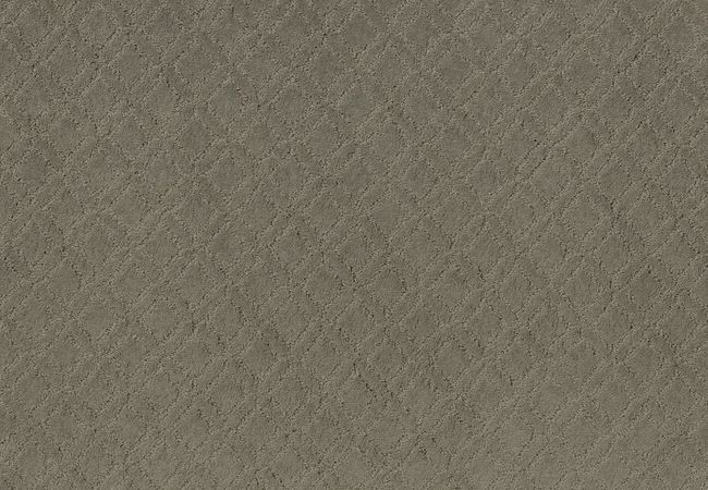 Anderson Tuftex Carpet Muse Herbal