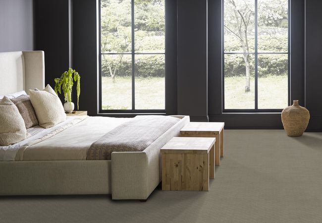 Anderson Tuftex Carpet Muse Imperial view 3