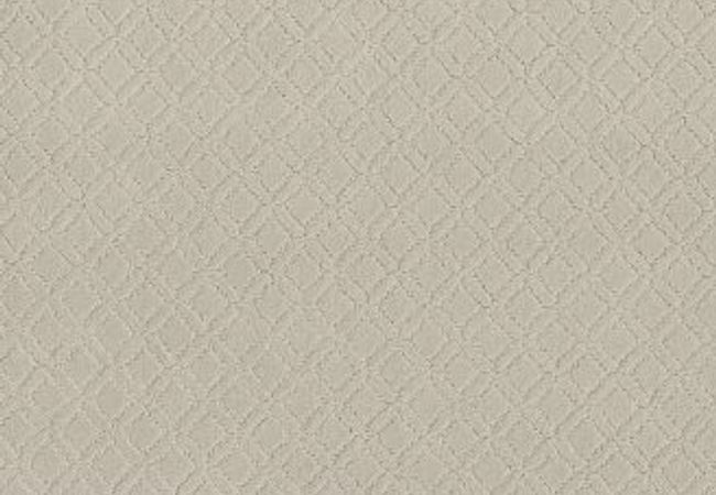 Anderson Tuftex Carpet Muse Minimal
