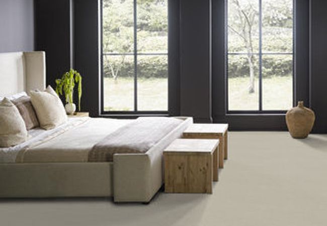 Anderson Tuftex Carpet Muse Minimal view 3