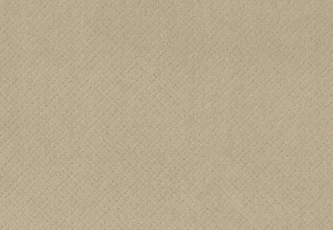 Anderson Tuftex Carpet Muse Morning Light