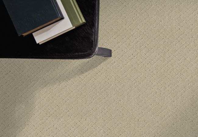 Anderson Tuftex Carpet Muse Morning Light view 2