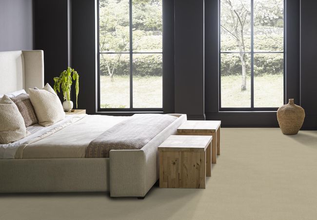 Anderson Tuftex Carpet Muse Morning Light view 3