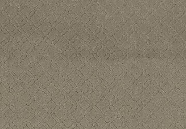 Anderson Tuftex Carpet Muse Reflection