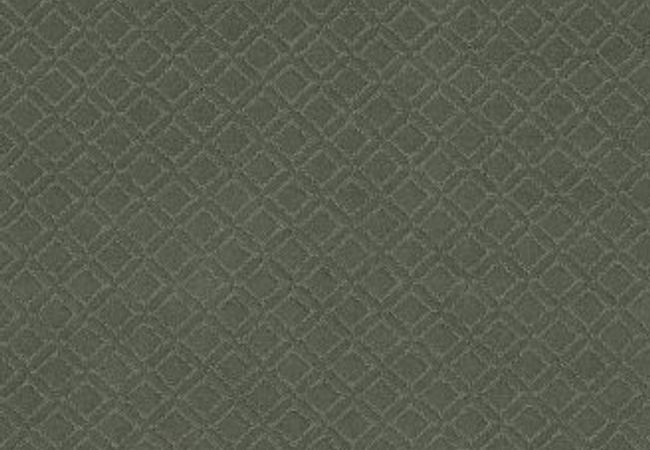 Anderson Tuftex Carpet Muse Wonder