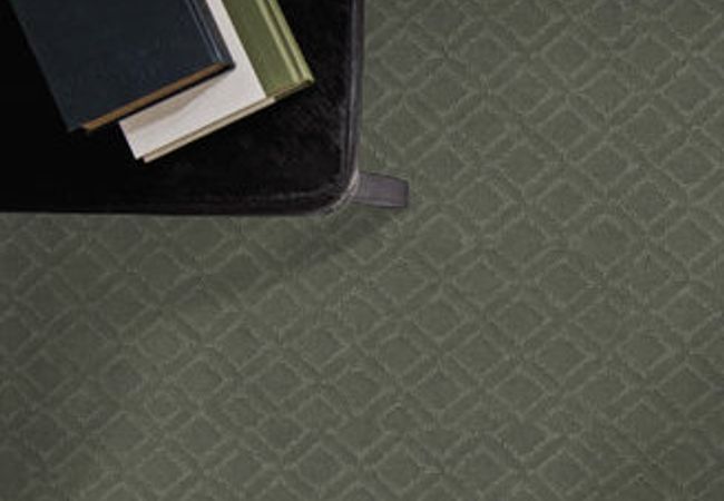 Anderson Tuftex Carpet Muse Wonder view 2