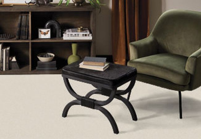 Anderson Tuftex Carpet On Point Adrift view 2