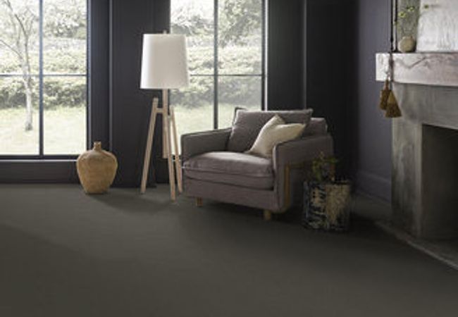 Anderson Tuftex Carpet On Point Cavern view 2